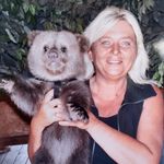 Donna Holleman Barbour - @donnaholleman - Instagram
