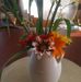Donna Bard - Facebook