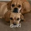 donnabarilla - @donna.barilla2 - TikTok