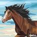 Donna Barth - Facebook