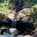 Donna Barth - Facebook