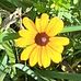 Donna Bartholomew - Facebook