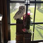 Donna Bartley - @donna_bartley63 - Instagram