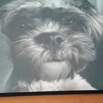 Donna Bartos - @bartosdonna - Instagram