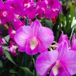 Donna Baugh - @deeebaugh - Instagram