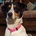 Donna Baugh - Facebook