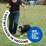 Donna Baumann - @rockinbhorses - Instagram