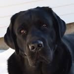 Donna Baumann - @donna.baumann.11 - Instagram