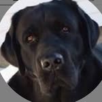 Donna Baumann - @hefokaw144 - Instagram