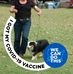 Donna Baumann - Facebook