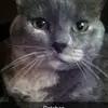 Peaches - @donnabaumann1 - TikTok