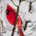 Donna Beaman - Facebook