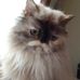 Donna Beane - Facebook