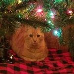 Donna Bearden - @donna.bearden.902 - Instagram