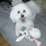 Donna Bearden - @bearden.d - Instagram