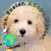 Donna Becker - Facebook