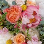 Donna Becker - @donnasdesigns4u - Instagram