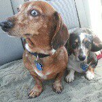 Donna Behrensmeyer - @donnabehrensmeyer - Instagram