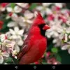 Donna Belcher - @donna.belcher73 - TikTok