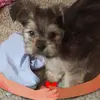 donnabelt - @donnabelt - TikTok