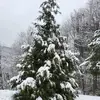 Donna Bell - @donna.bell37 - TikTok