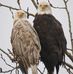 Donna Benally - Facebook