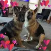 donnabenedict4 - @donnabenedict4 - TikTok