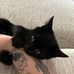 Donna Benton - Facebook