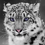 Donna Bernstein - @donna.bernstein.14 - Instagram