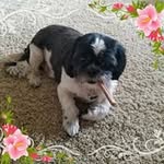 Donna Bernstein - @donnabsellshomes - Instagram