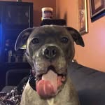 Donna Bernstein Kaht - @rdbunny - Instagram