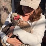 Donna Grossman Bernstein - @donnagrossman - Instagram