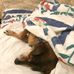 Donna Biddle - Facebook