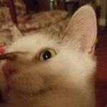 Donna Biddle - @biddle.donna - Instagram