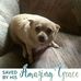 Donna Bigham - Facebook