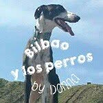 Bilbao y los perros, by Donna - @donna_bilbao - Instagram