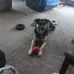 Donna Binkley - Facebook