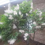 Donna Binkley Lograsso - @mamalogras - Instagram