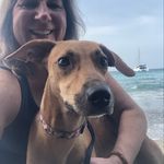 Donna Blais - @islandpupsk9 - Instagram
