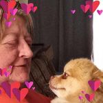 Donna Blalock - @blalockdm60 - Instagram