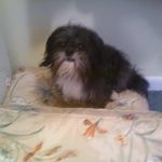 Donna Casey Blalock - @mr.wiggle2 - Instagram