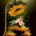 Donna Blank - Facebook