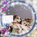 Donna Blizzard - Facebook