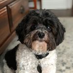 Donna Blizzard - @dblizzard_ - Instagram