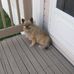 Donna Blizzard - Facebook