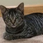 Donna Bernesser Blough - @djblough13 - Instagram