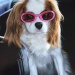 Donna Blough - @dblough18 - Instagram
