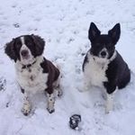Donna Boardman-Reeves - @boardmandonna0 - Instagram