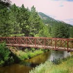 Donna Bode Photography - @photogalinspire - Instagram