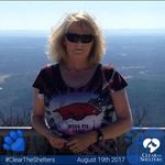 Donna Bodkin - @donna.bodkin - Instagram
